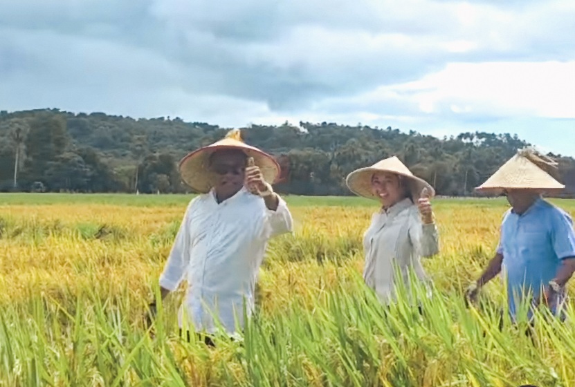 Panen Raya di Daefadin, Bupati Paulus Henuk Janjikan Solusi Konkret untuk Petani