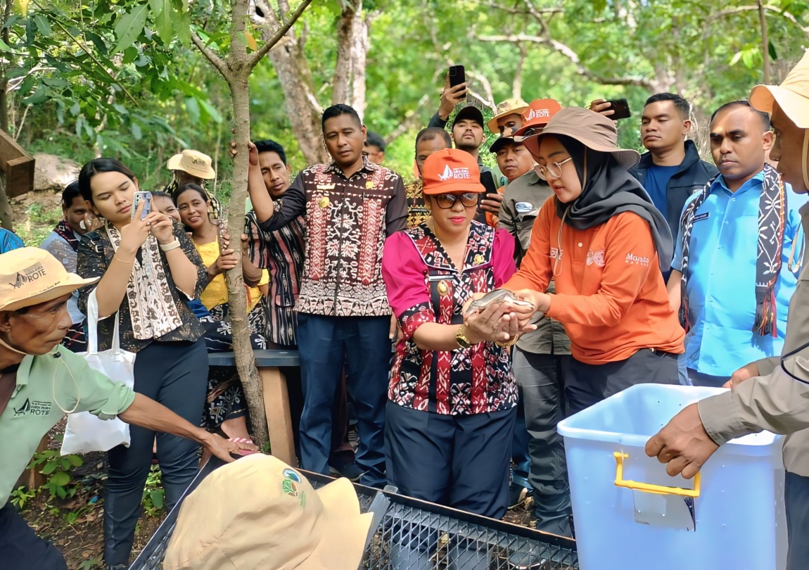 Wabup Apremoi Pimpin Giat Pelepasan 10 Kura-kura Leher Ular di Landu Leko