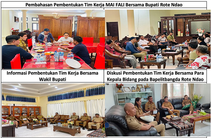 Atasi Fragmentasi Data, Pemkab Rote Ndao Resmi Bentuk Tim Kerja Aplikasi MAI FALI