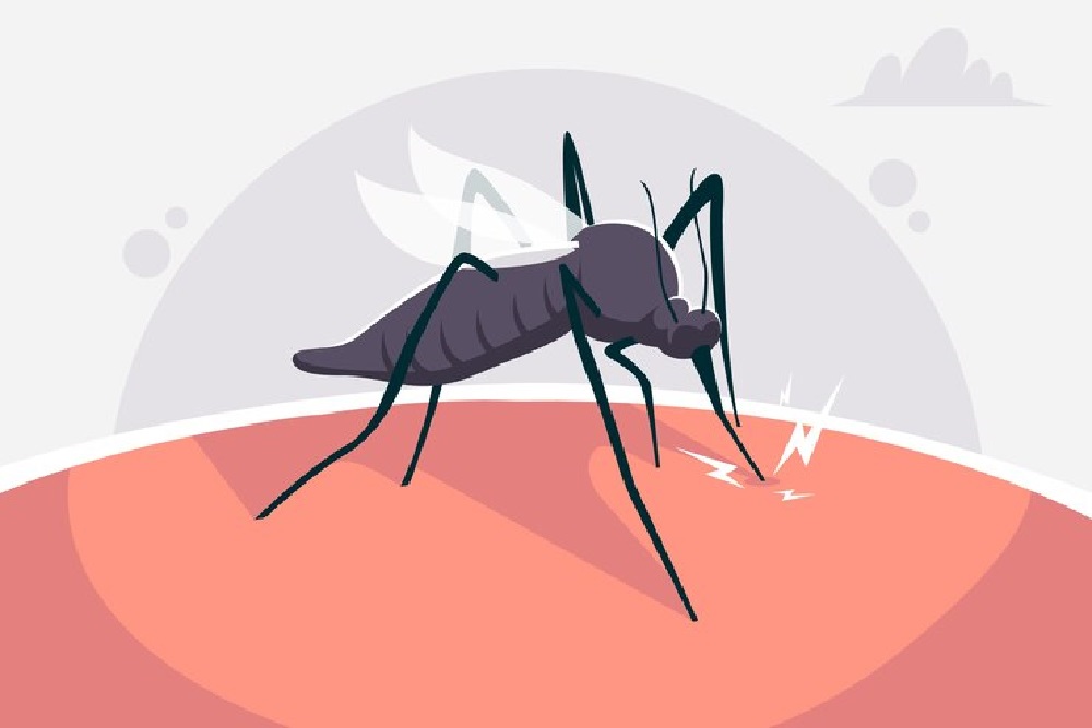 Wilayah Eahun Jadi Penyumbang Tertinggi Kasus Malaria di Rote Ndao