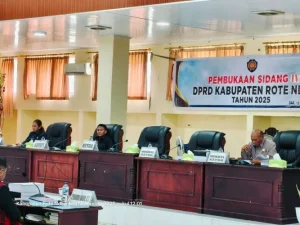 Tahun 2026 Hadapi Tantangan Fiskal Berat, DAU dan DAK Alami Pengurangan
