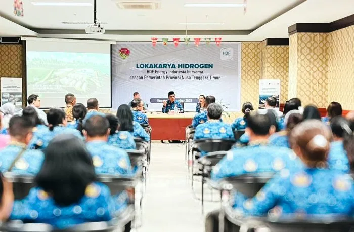Rote Ndao Bakal Jadi Lokasi Strategis Pembangkit Hidrogen, Pemprov NTT dan HDF Sepakati 4 Agenda Percepatan