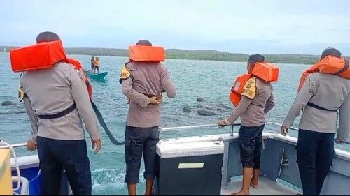 Aksi 3 Jam Polisi dan Nelayan Evakuasi Paus Pilot yang Terjebak Pukat