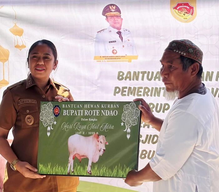 Iduladha 1447 H, Pemkab Rote Ndao Salurkan 11 Sapi Kurban dan Ajak Warga Jaga Kerukunan