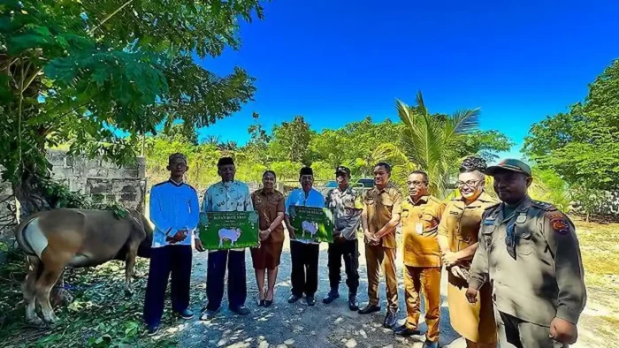 Sapi Kurban Presiden Prabowo Dialihkan Menjadi Dua Ekor, Ini Penyebabnya