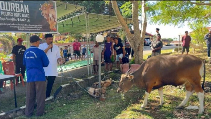 Polres Rote Ndao Salurkan 300 Kantong Daging Kurban ke Tiga Wilayah