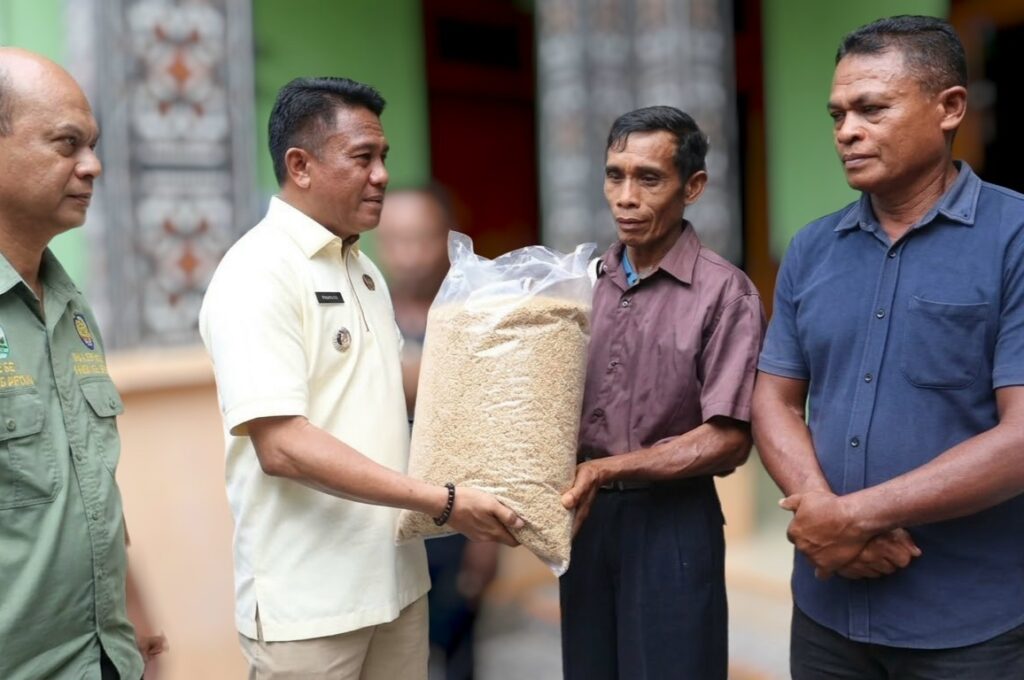 Dukung Musim Tanam Ketiga, 52 Kelompok Tani di Rote Ndao Terima 22,4 Ton Benih Padi